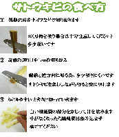 (送料無料)沖縄県産 生さとうきび(サトウキビ) 食用 10本セット