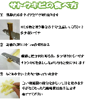 沖縄県産 生さとうきび(サトウキビ) 試食用 7cmパック