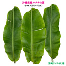 沖縄県産バナナの葉　小サイズ(3枚)
