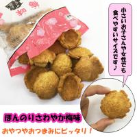 梅好きお菓子セット　小亀(梅味)5袋&梅花(うめふぁー)5袋