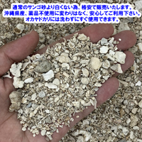 安心安全　国内産　沖縄の砂　[B級品]パウダー砂　1kg×5パック(5kg)
