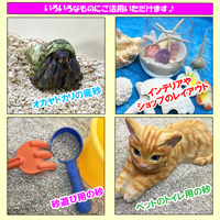 安心安全　国内産　沖縄の砂　[B級品]サンゴ砂　1kg×5パック(5kg)