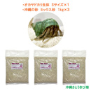 オカヤドカリ生体　Sサイズ×1匹　沖縄の砂　1kg×3袋