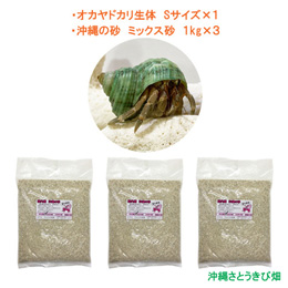 オカヤドカリ生体　Sサイズ×1匹　沖縄の砂　1kg×3袋