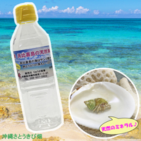 オカヤドカリ飼育セット　サンゴ砂10kg・海水500ml・サトウキビ・改善液330cc