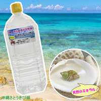 オカヤドカリ飼育セット　サンゴ砂10kg・海水2L・ふわり&ぽっぷん