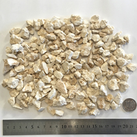 琉球石灰岩　洗浄済み　小粒タイプ　0.5cm～3cm　300g