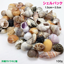 シェルパック　小さな貝がら(1.5cm～3.5cm)　100g