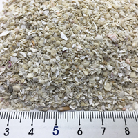 安心安全　国内産　沖縄の砂　サンゴ砂　1kg×10パック(10kg)