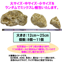 訳あり　琉球石灰岩　サイズミックス　19～21kg(8～11個)