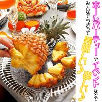 スナックパイン苗(ボゴール苗)ポット苗【パイナップル】×1鉢