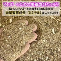 微量要素入りマンゴー専用1号(マンゴー肥料)15kg