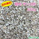 【送料無料】安心安全　国内産　沖縄の砂　粗め　サンゴ砂　60kg