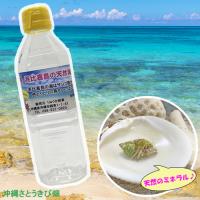 沖縄 浜比嘉島の天然海水　500ml×2