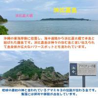 沖縄 浜比嘉島の天然海水　500ml×2