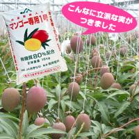 微量要素入りマンゴー専用1号(マンゴー肥料)15kg