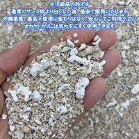 安心安全　国内産　沖縄の砂　[B級品]サンゴ砂　1kg×10パック(10kg)
