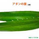 アダンの生葉 (2枚入)　|草編み 葉編み かご編み 指ハブ 民具 アダン葉編み アダン葉